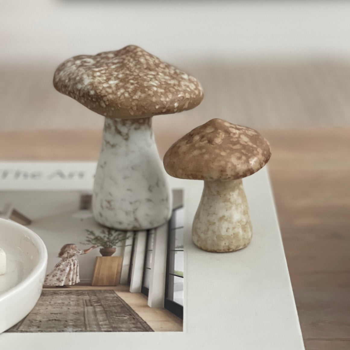 Rustic Decorative Mushrooms
